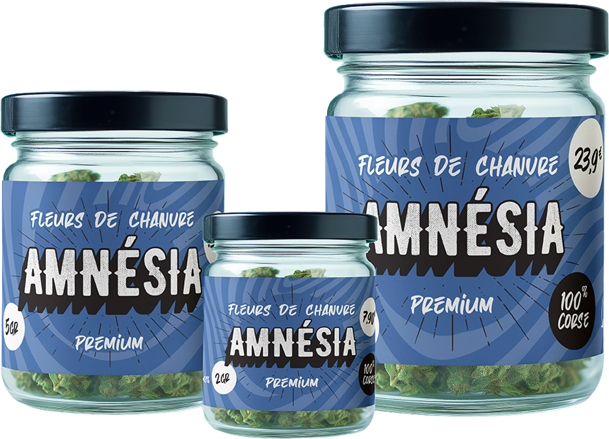 Amnesia