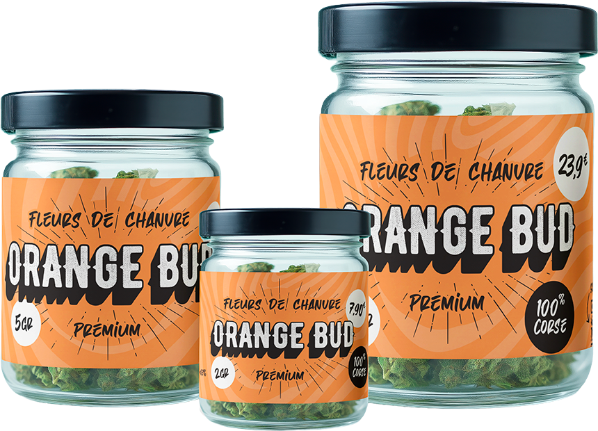 Orange-Bud