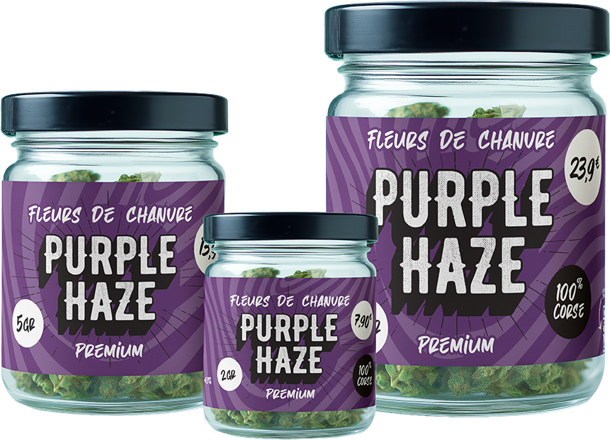 Purple-Haze